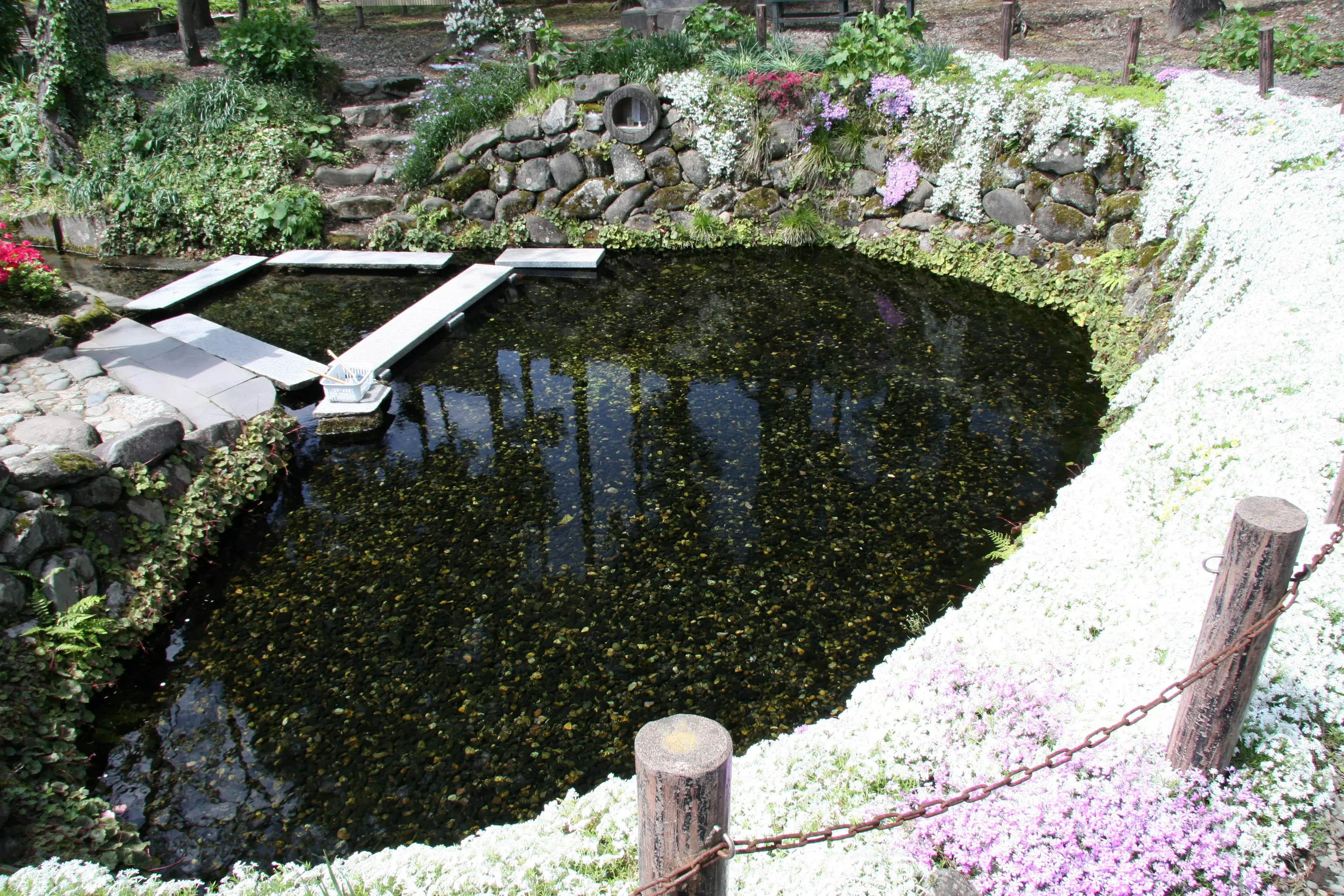 秋田県美郷町御台所清水（湧水）