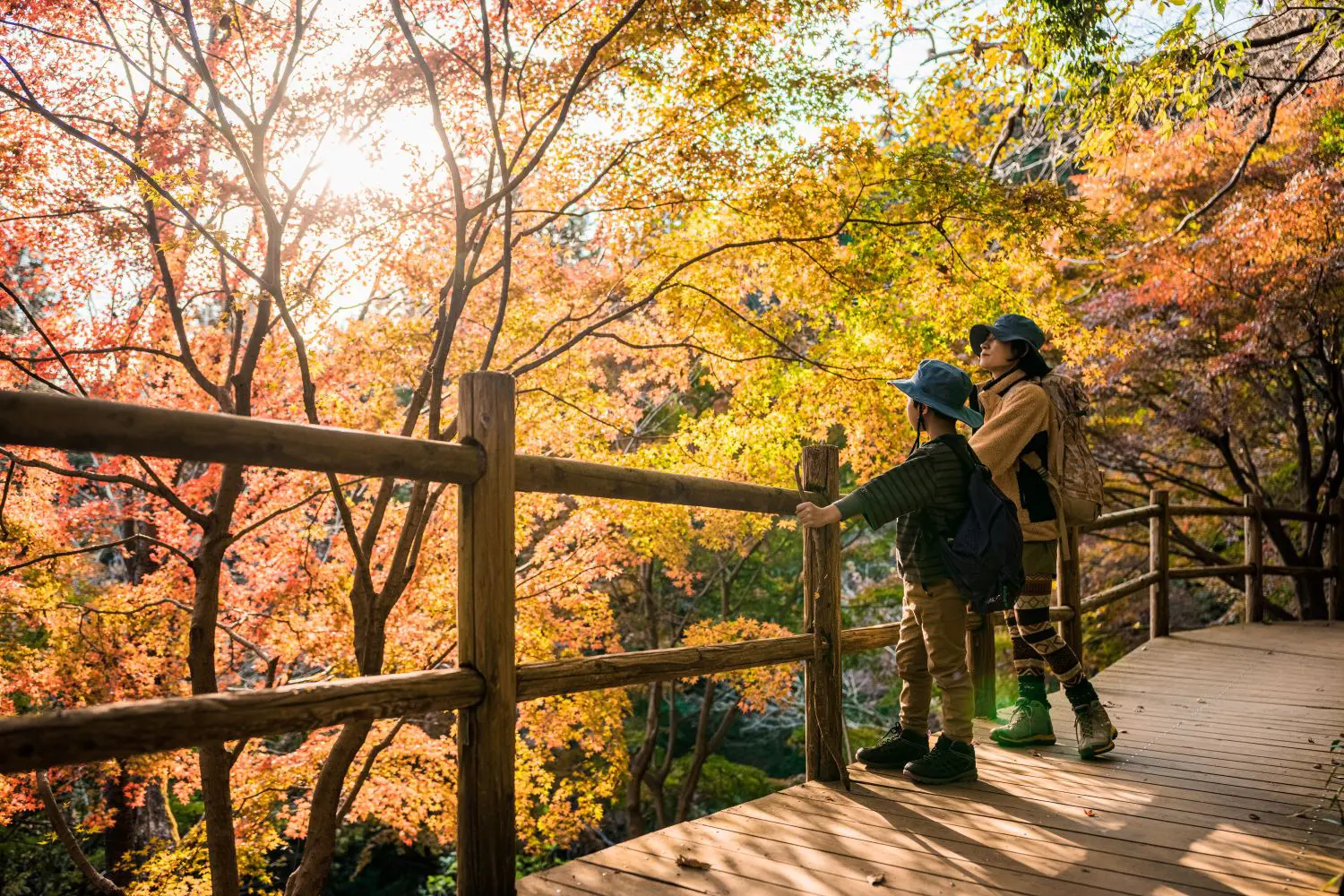 ハイキングイメージ