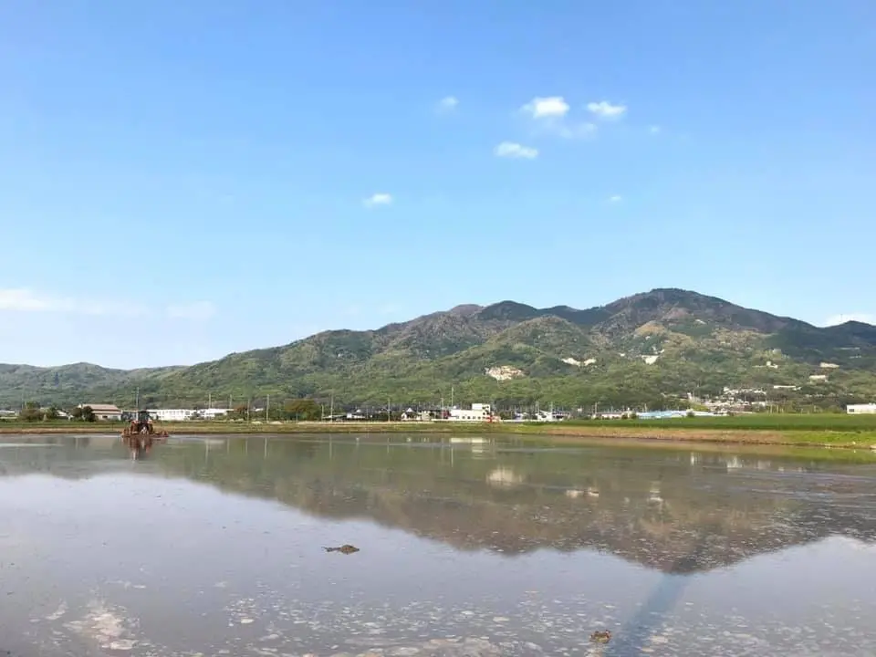 田園と加波山