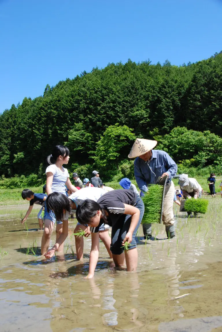 高知県中土佐町田植え