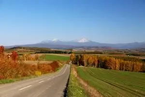 市内西神楽地区にある丘陵地帯「就実の丘」