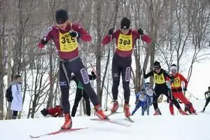毎年3月上旬に開催される国内最大規模のスキー大会「バーサーロペット・ジャパン」