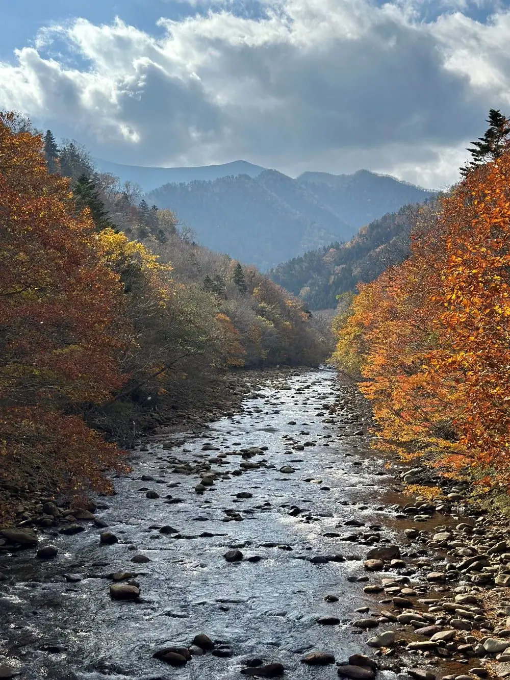 沙留川（豊似橋）