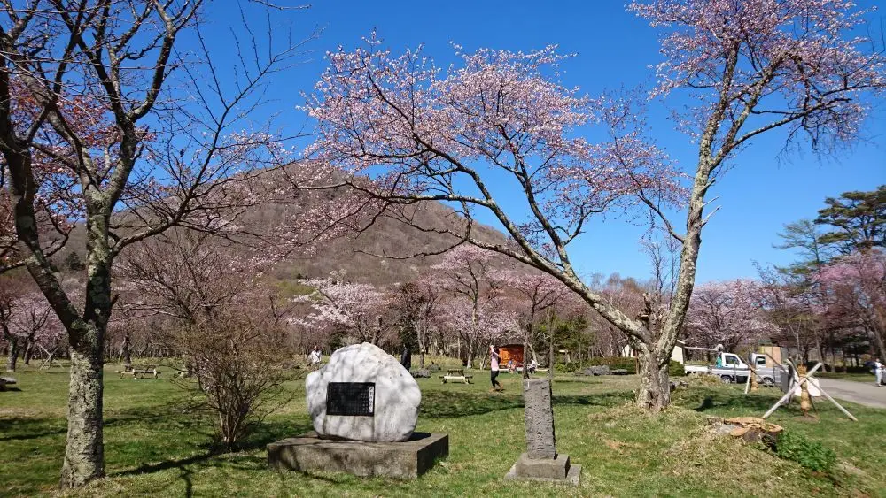 庶野さくら公園
