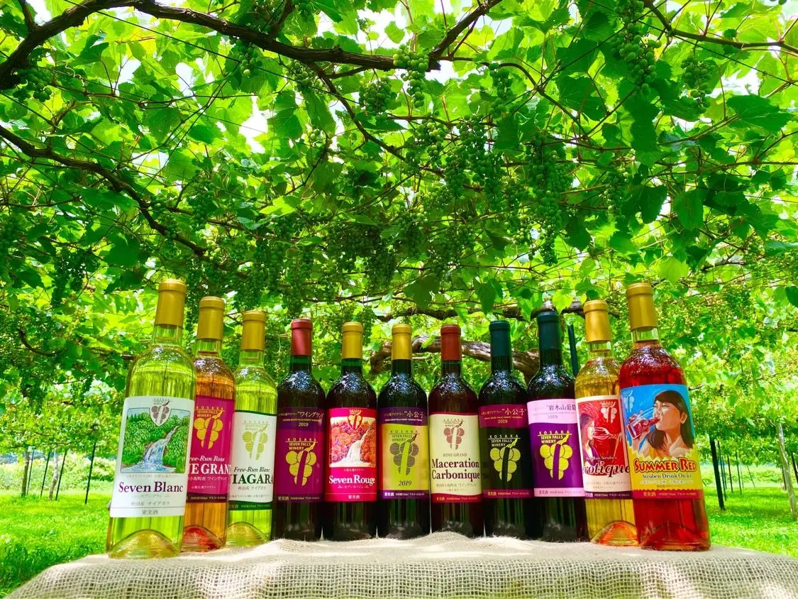 小坂七滝ワイン（町産の山ブドウ系品種を中心に醸造された純小坂産のワイン）