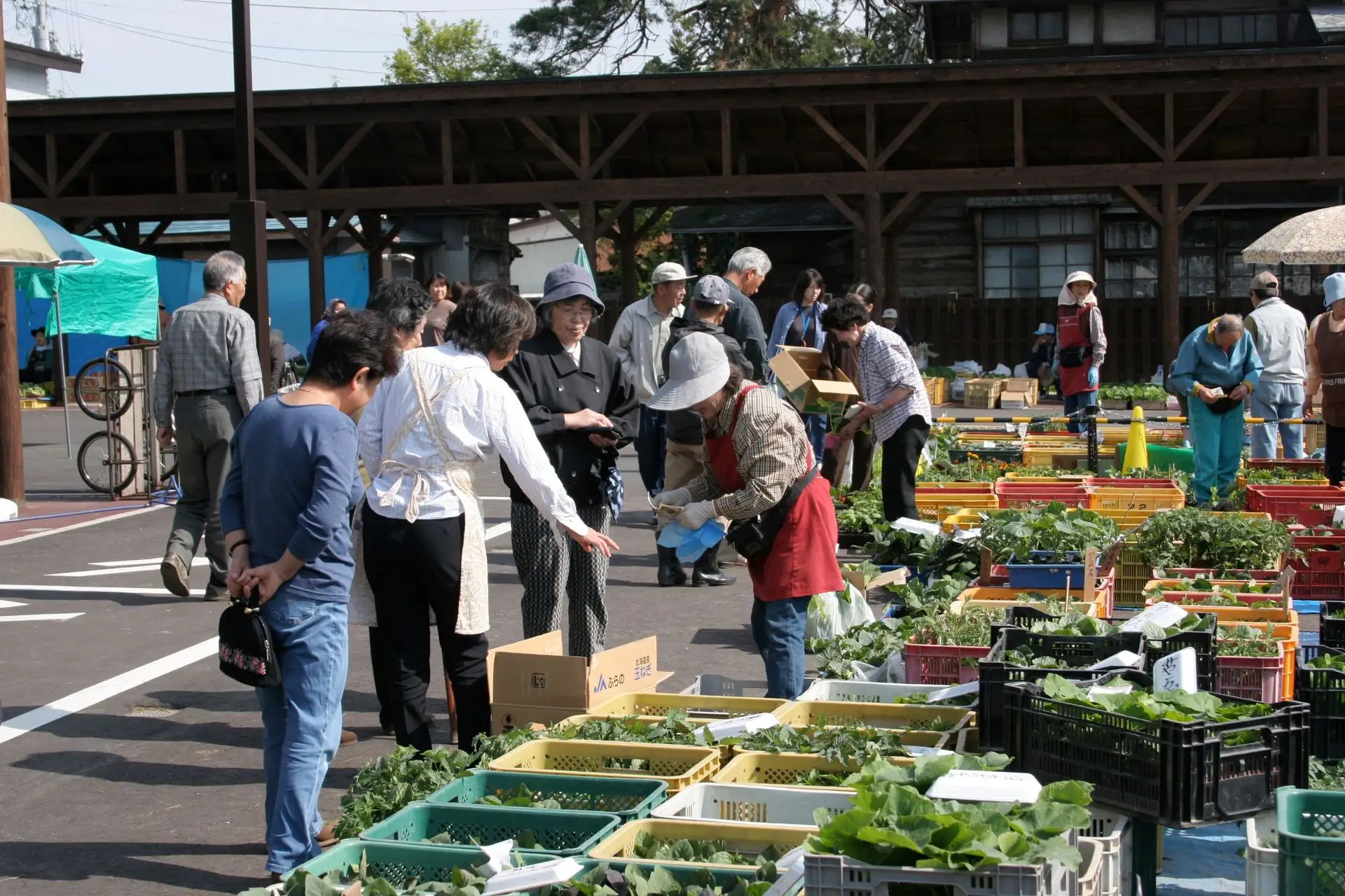 かがり火広場の朝市：
2,5,8がつく日に開催され、町民の台所であり、交流場です