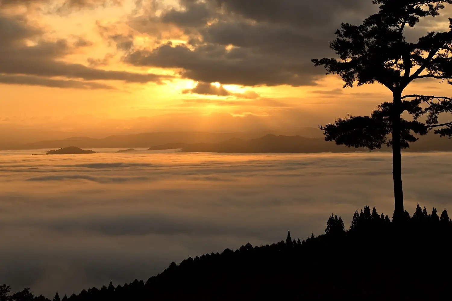 みはらし荘の雲海：
昼夜の寒暖差が大きく、風がない晴れの日に見ることができます