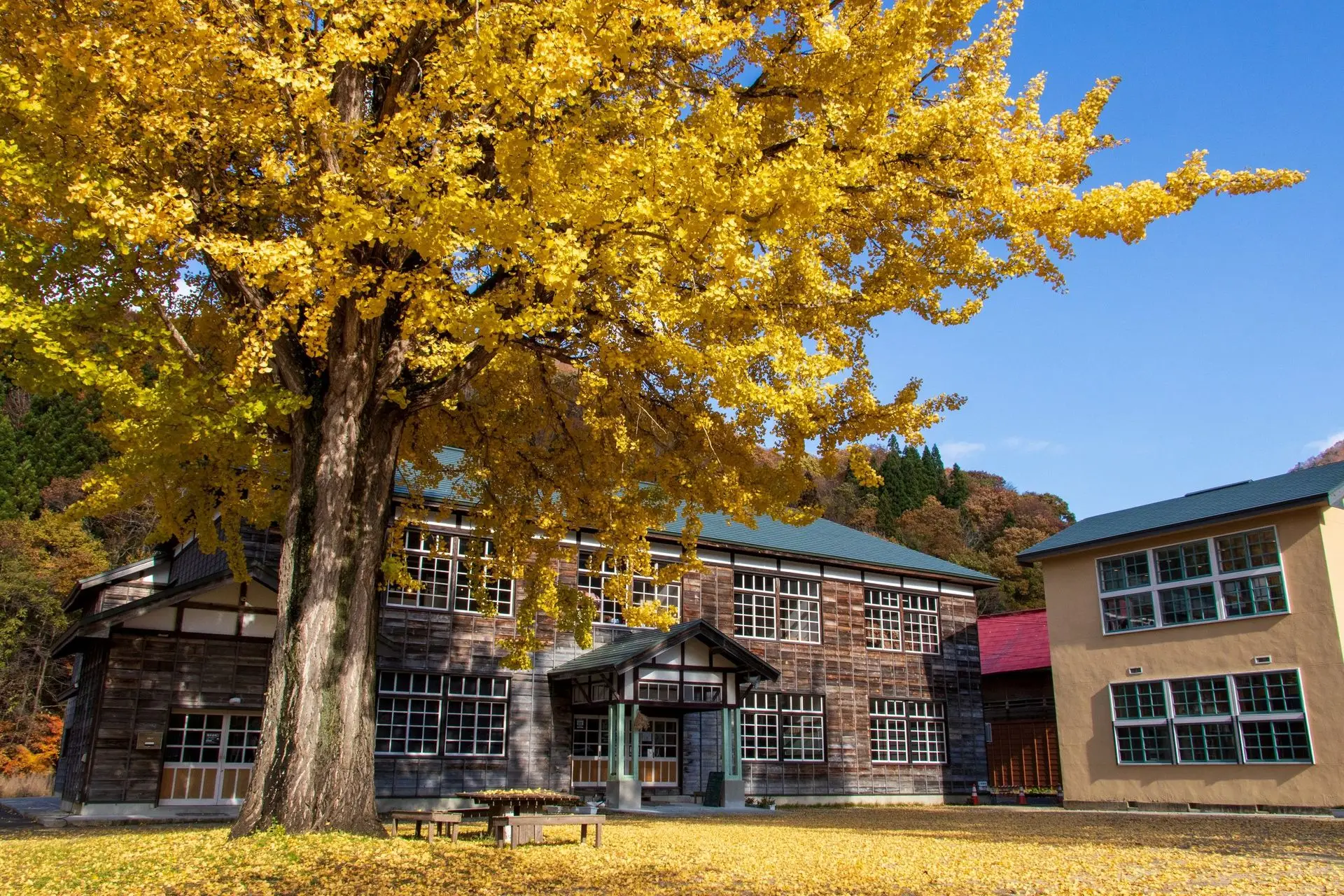 交流・観光拠点施設 喰丸小［くいまるしょう］
