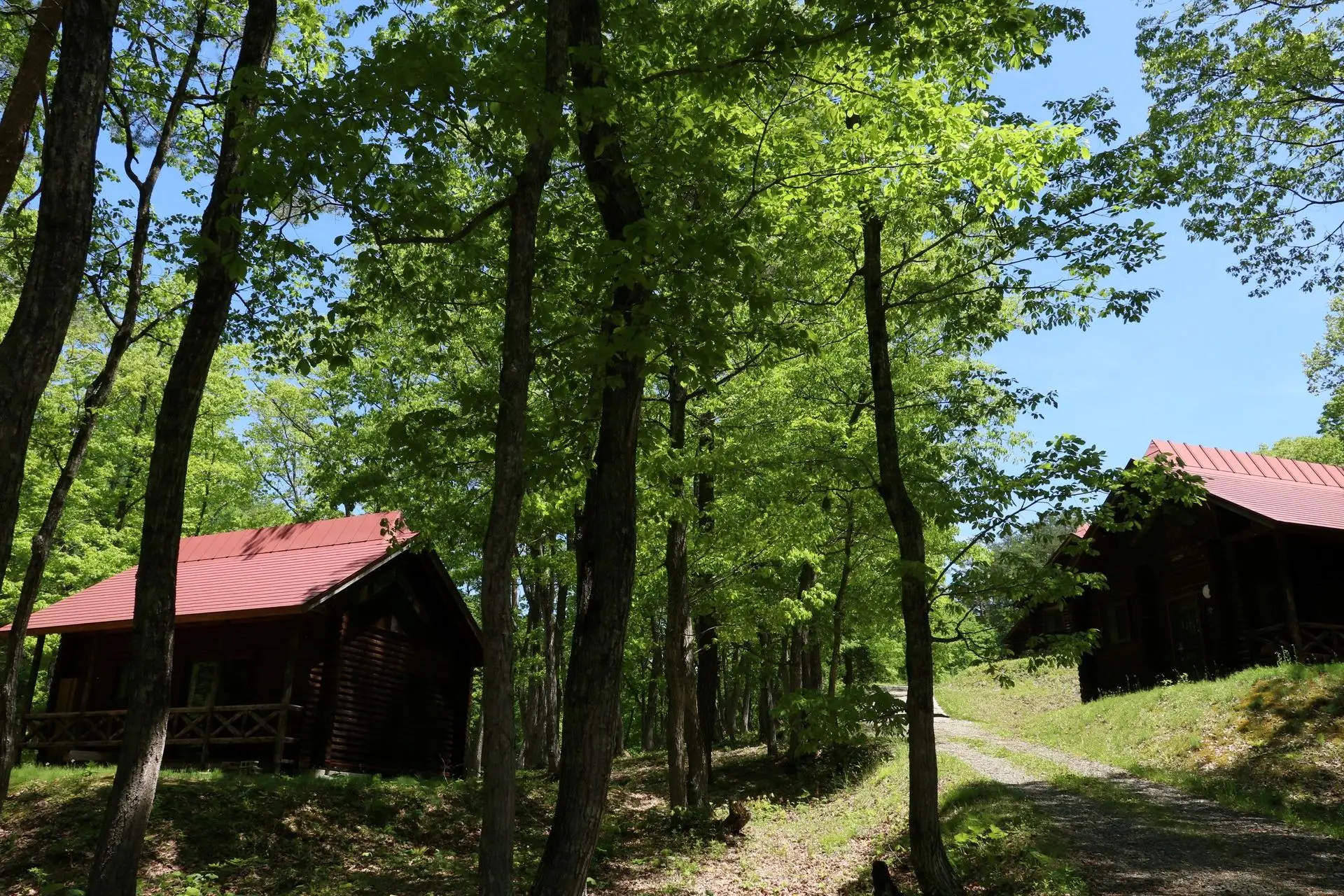 昭和の森キャンプ場