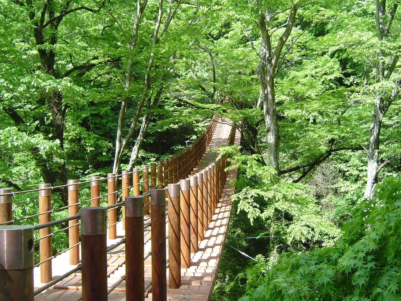 新緑の花貫渓谷