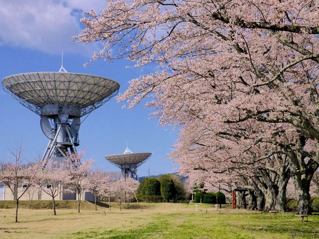 さくら宇宙公園