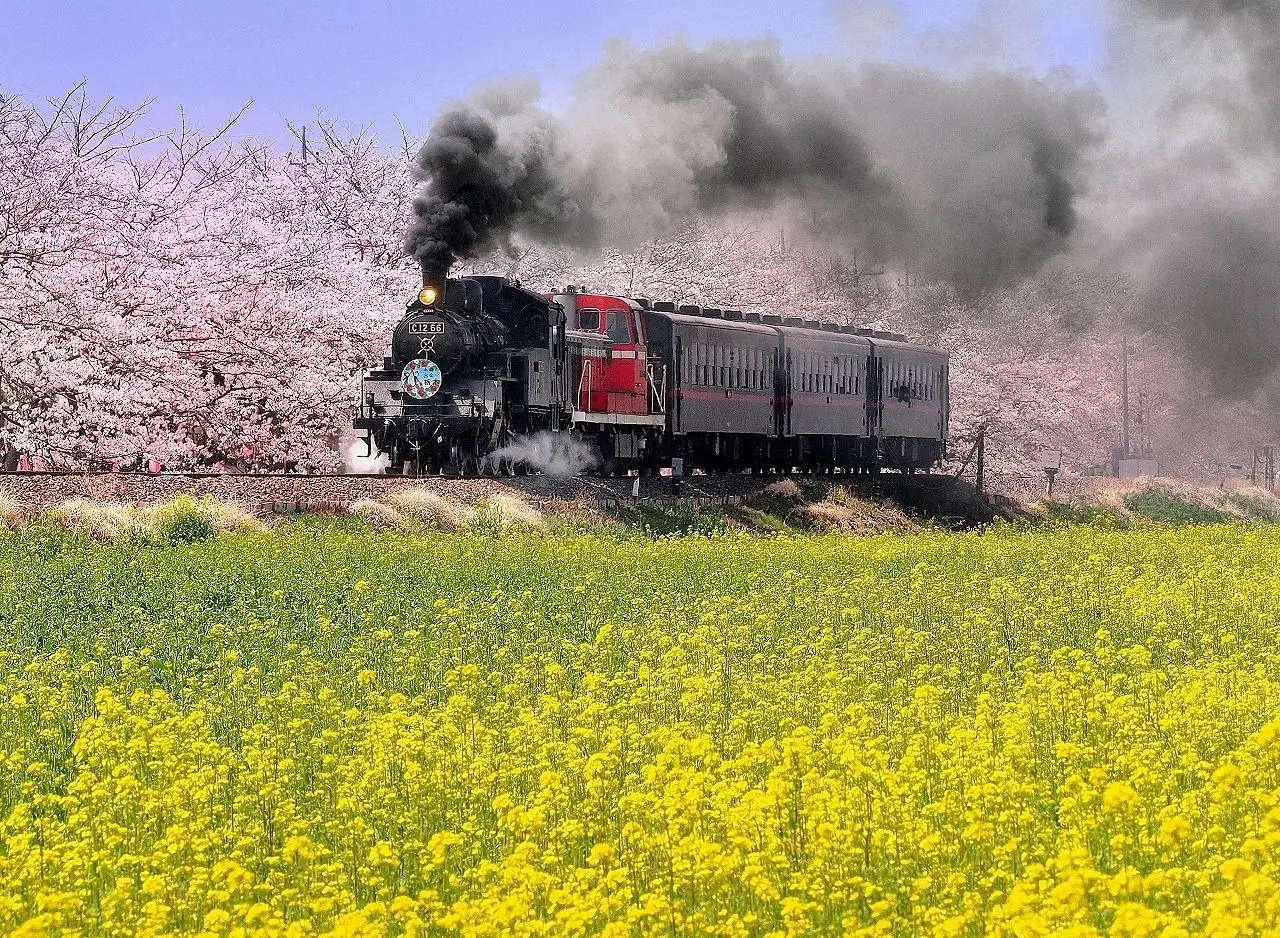 真岡市内を走るＳＬ