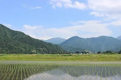 田植え期しか見られない水鏡