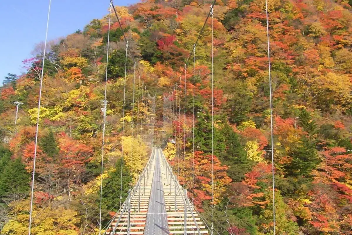 オクシズ（奥静岡）