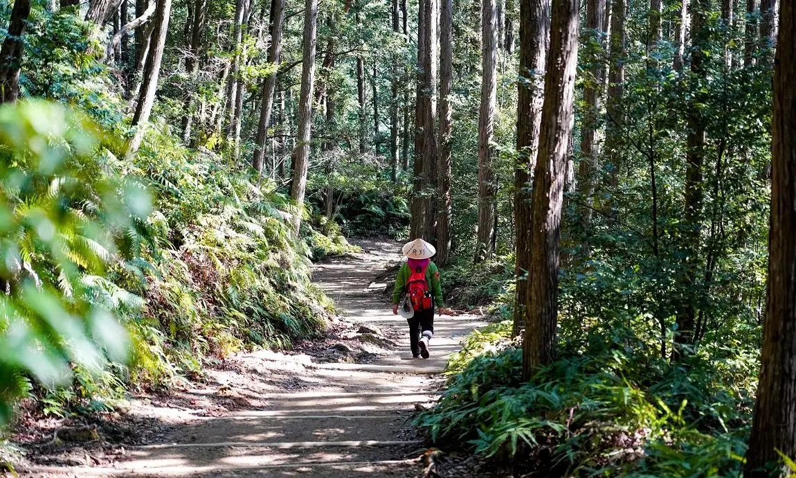 熊野古道・中辺路ルート