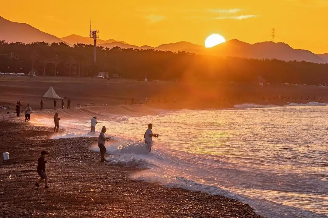 〈釣り人賑わう〉
早朝から浜は釣り人がたくさん。カツオ・タチウオ・ガシラ・アジ・アオイカ・ハマチ等。