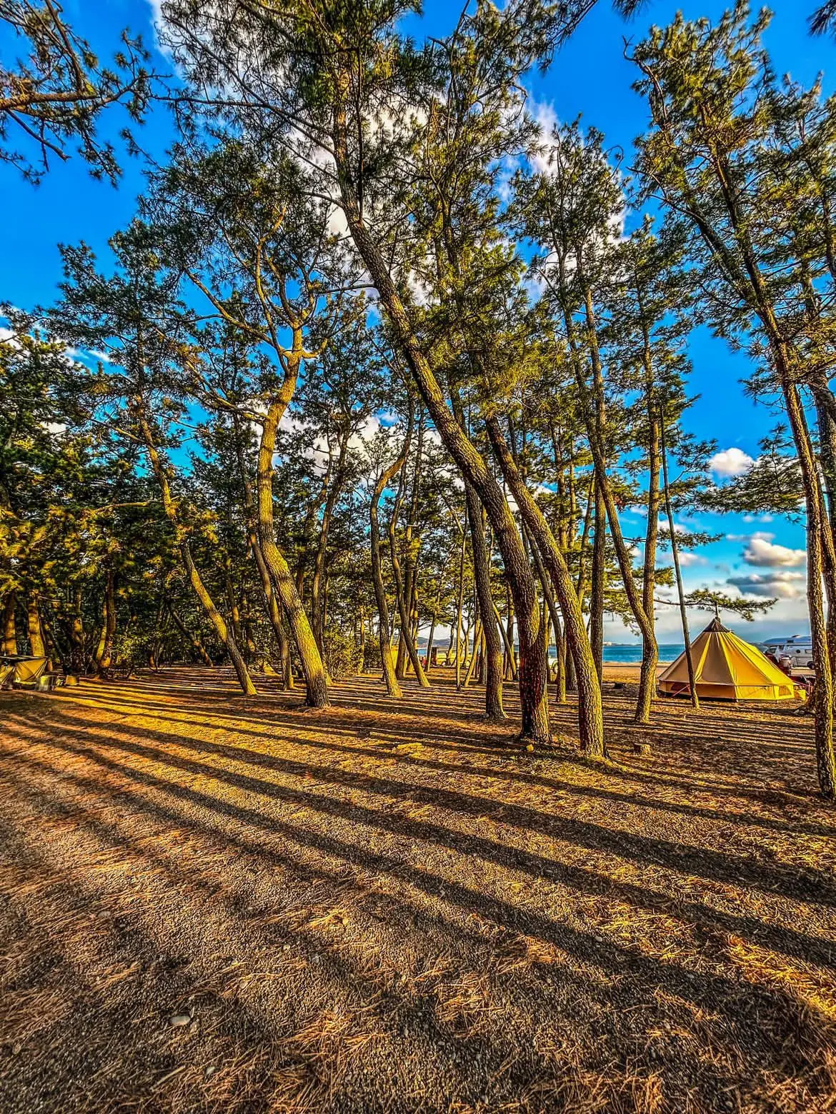 〈煙樹海岸キャンプ場〉
夏は木陰と潮風で涼しく、冬は満天の星が広がる中の至福の時間をぜひ。