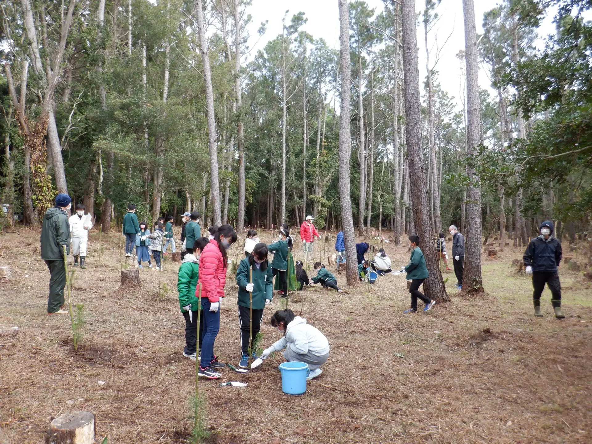 〈松の日〉
2月の第2日曜を「松の日」と定め、町民の方々がボランティアで清掃や植樹等を行っている。