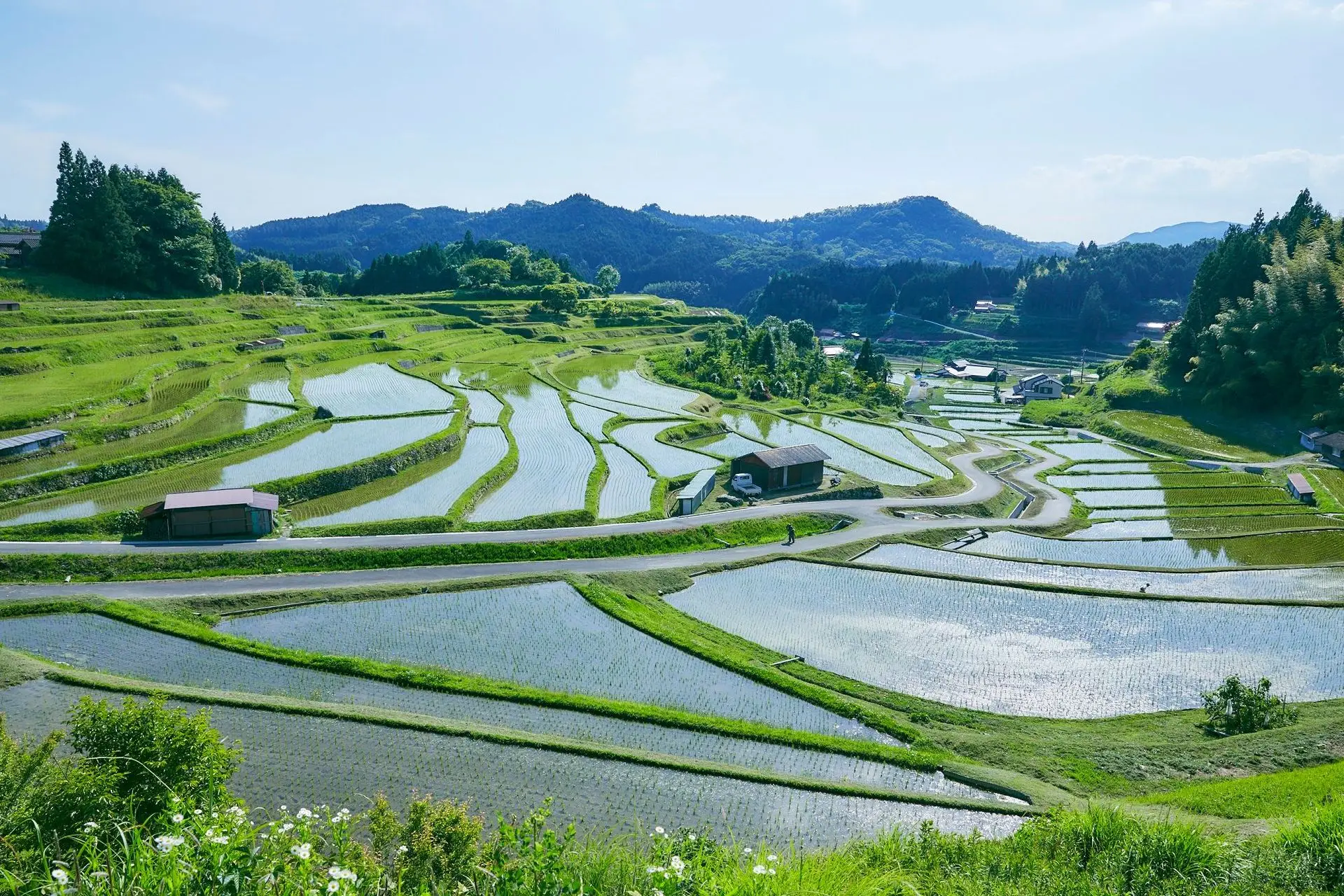 中須地区の棚田