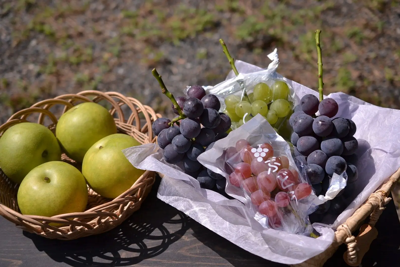 果物狩りができる観光農園