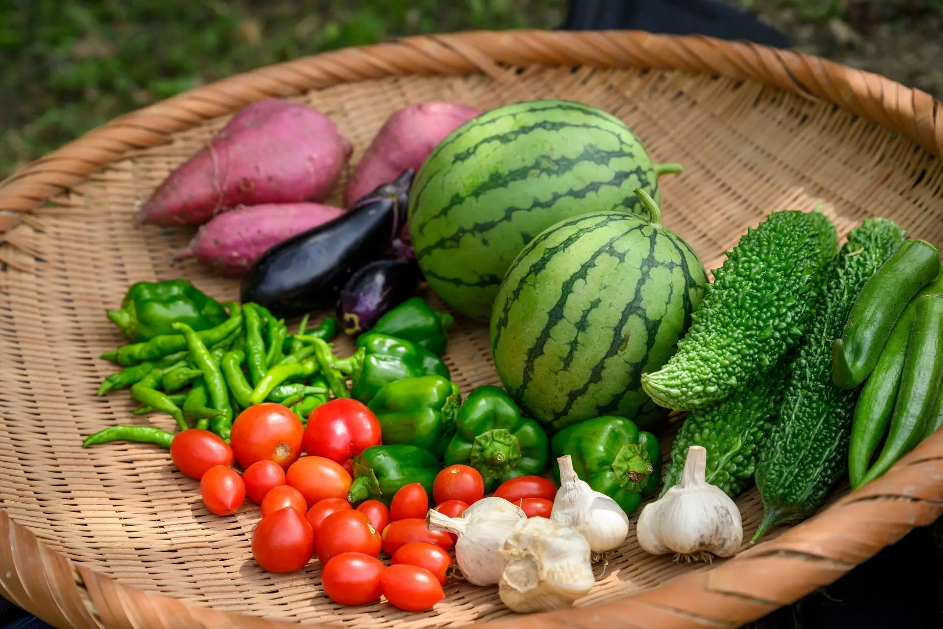 家庭菜園も楽しめる