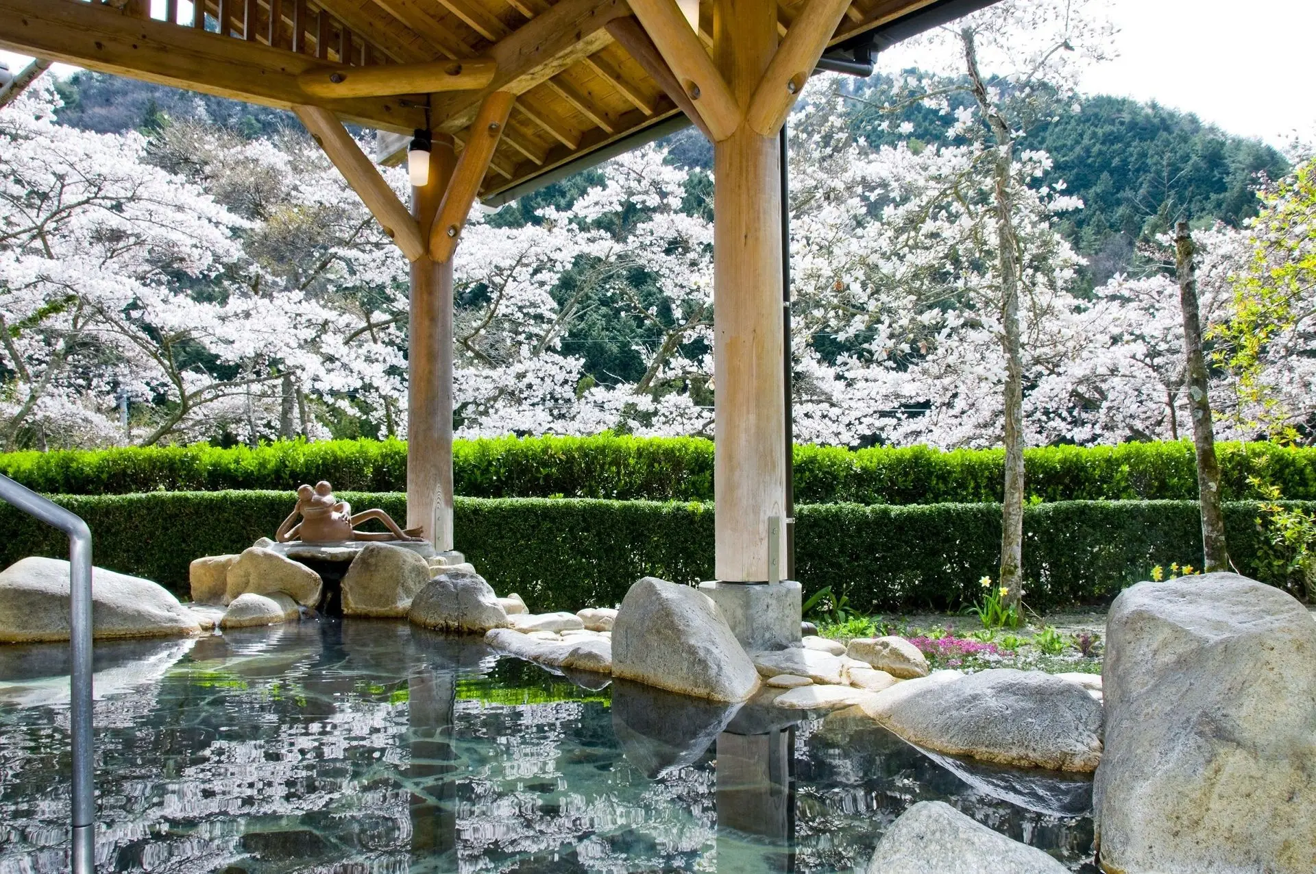 温泉で癒される