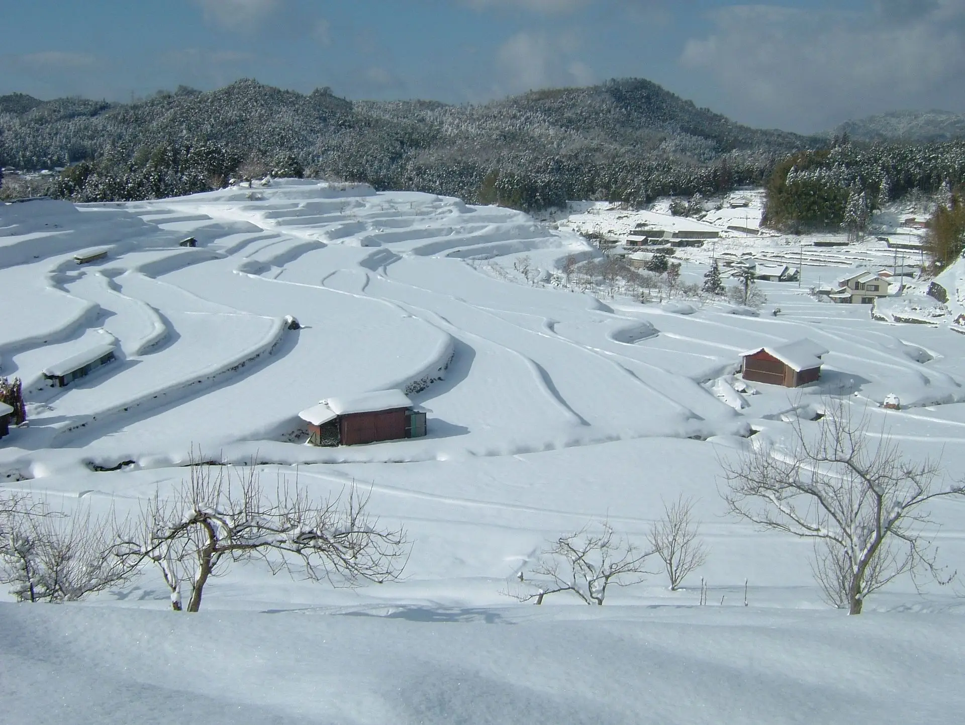 冬には一面雪化粧