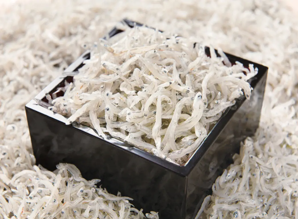 和田島ちりめん