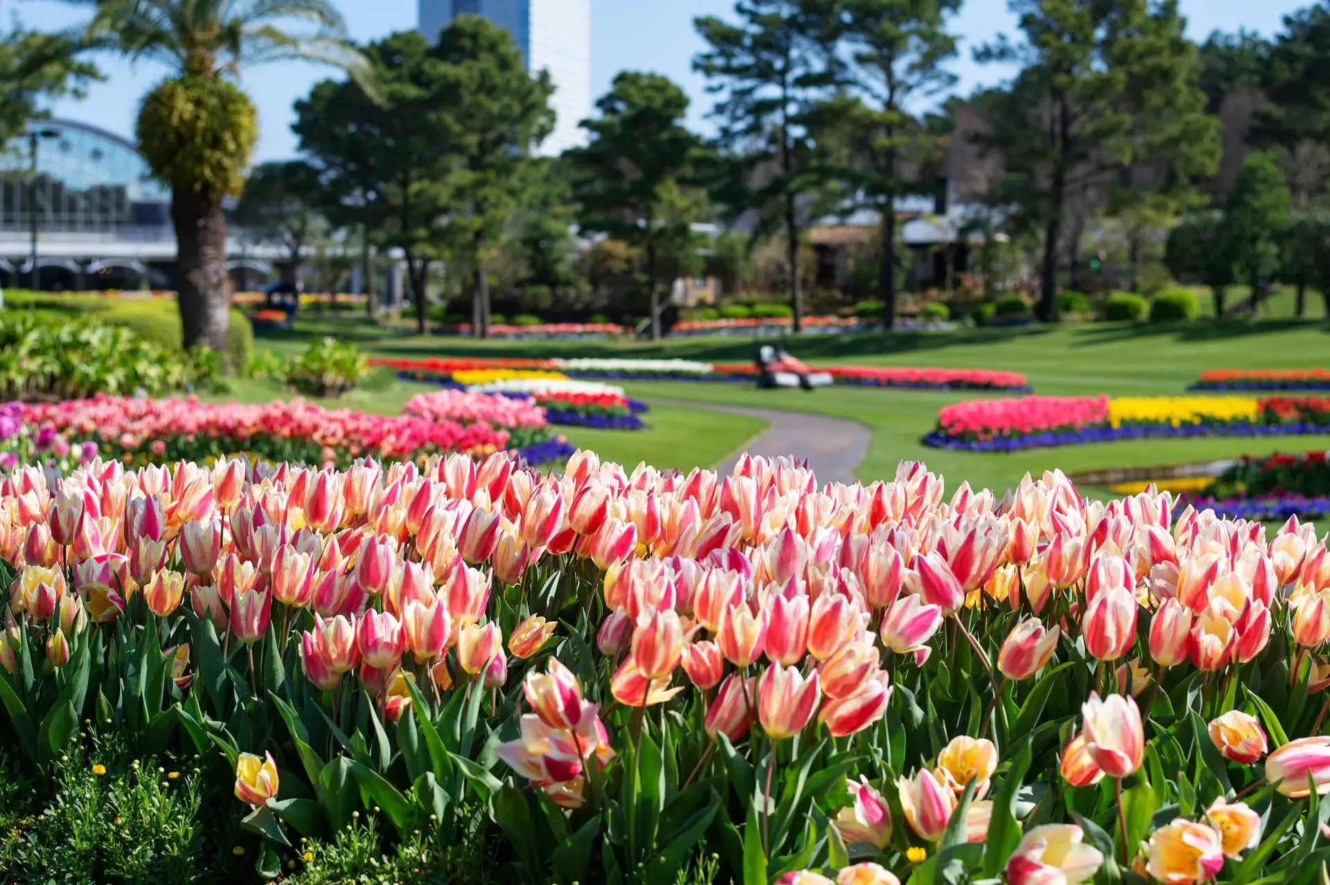 フローランテ宮崎