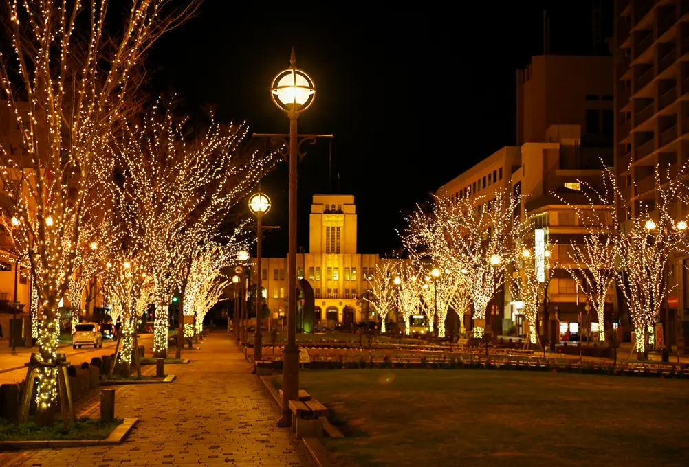 みなと大通り公園のライトアップ_Lights along Minato-Odori Park