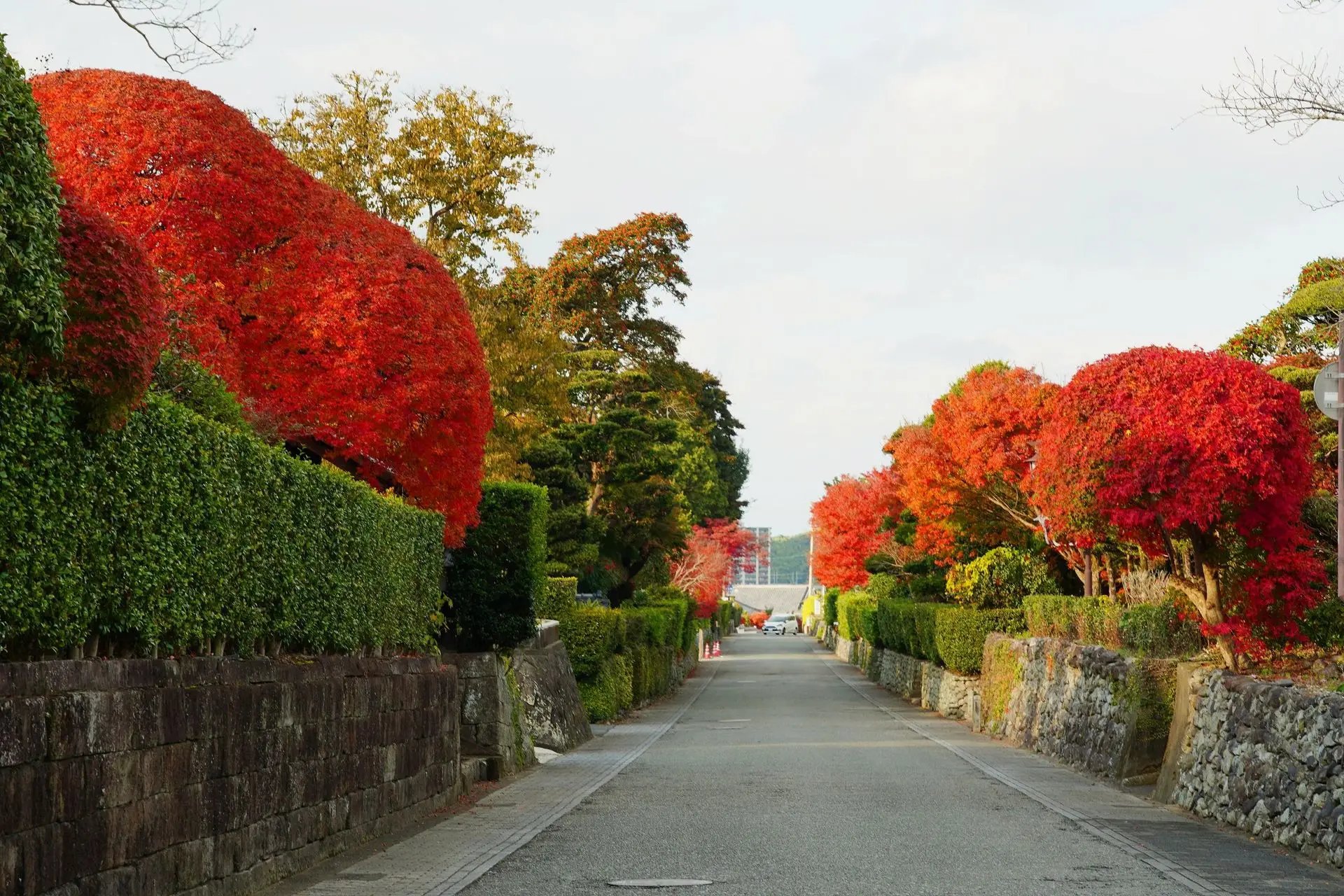 出水麓武家屋敷群