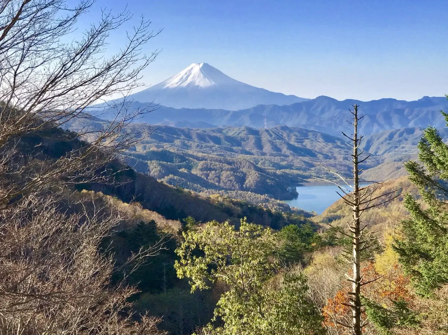 ふるさと回帰フェアに出展します！