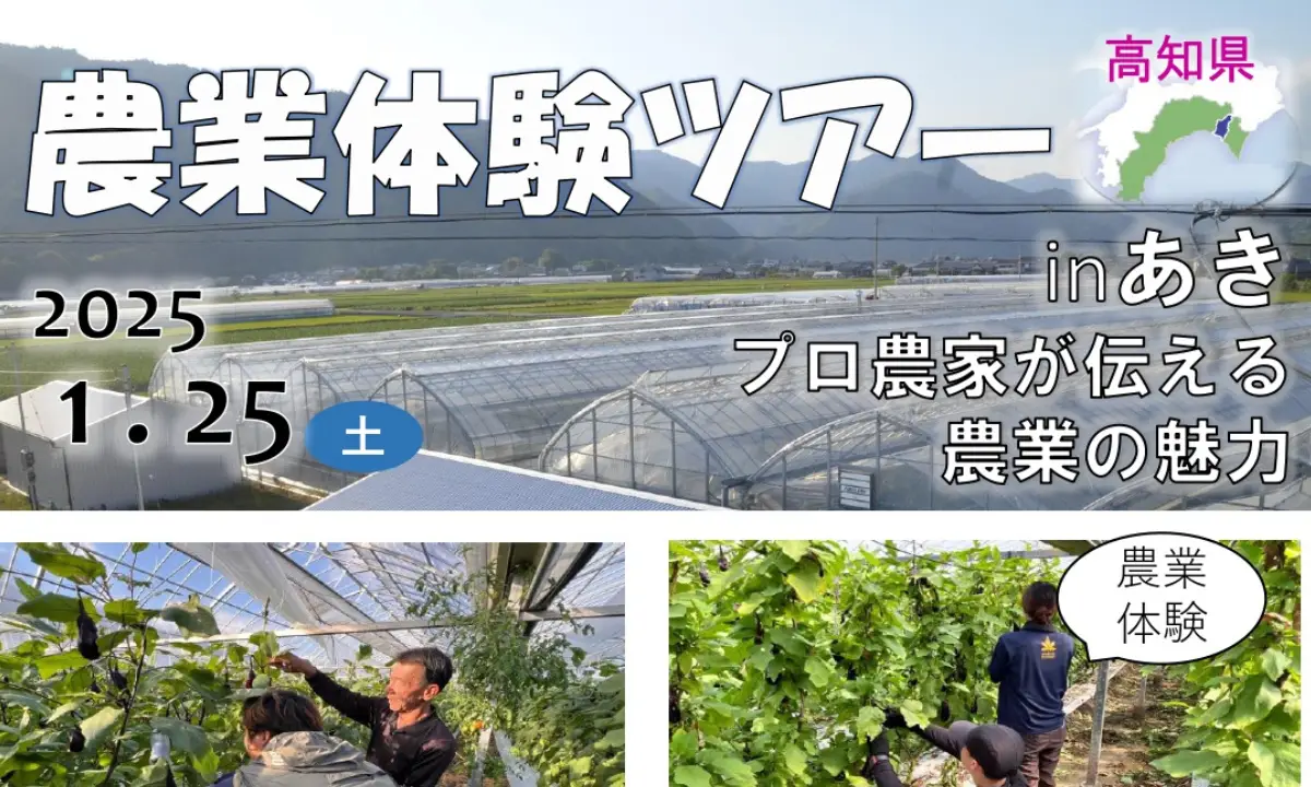 【1/25＠高知県】農業を職業にしたい方、必見！施設園芸が盛んな地域の農業体験ツアー開催🍆