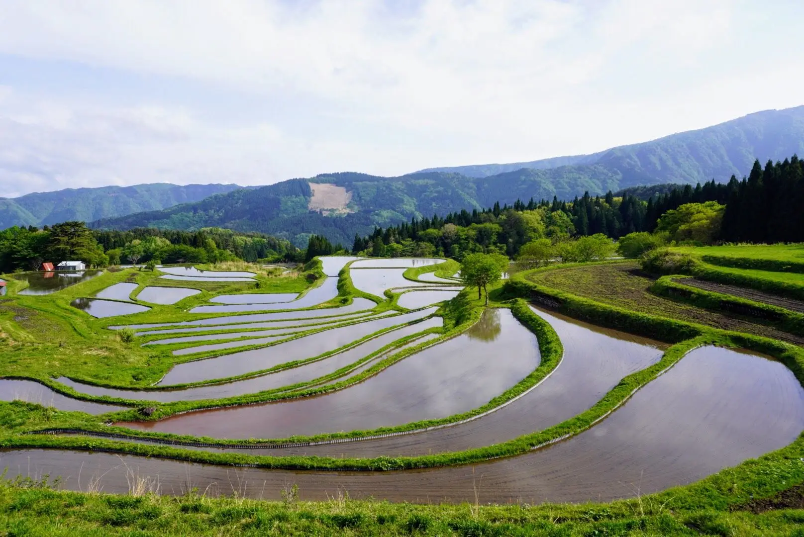 【農業生産・棚田保全】兵庫県養父市地域おこし協力隊募集！！