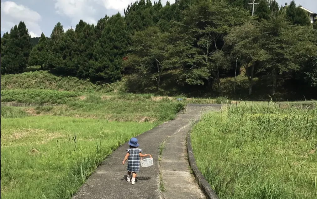 【和歌山県高野町】5/31（土）富貴の自然とあそぼう!