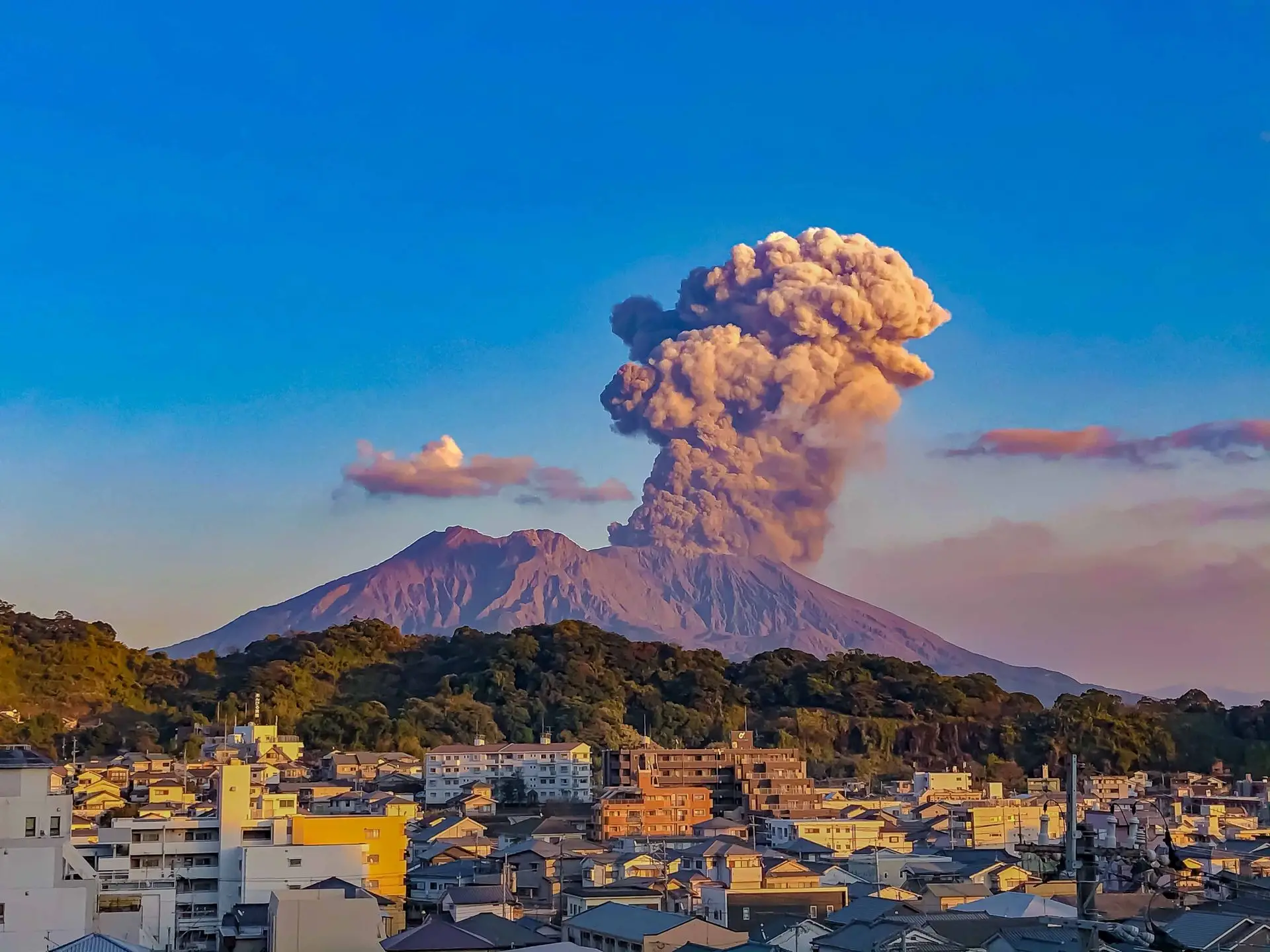 さくらじま地域おこし協力隊 2名募集スタート！