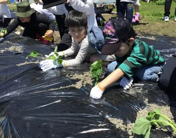【食育×地域連携】誰もが生き生きしたライフスタイルを実現できるまち（前編）