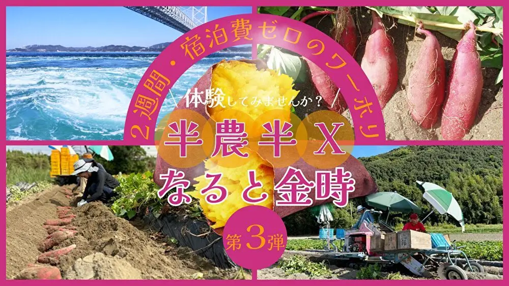 【募集終了】第3弾 募集中！宿泊費ゼロで２週間のお試し暮らし！潮風感じる海辺で特産品「なると金時」の農業バイト体験してみませんか？