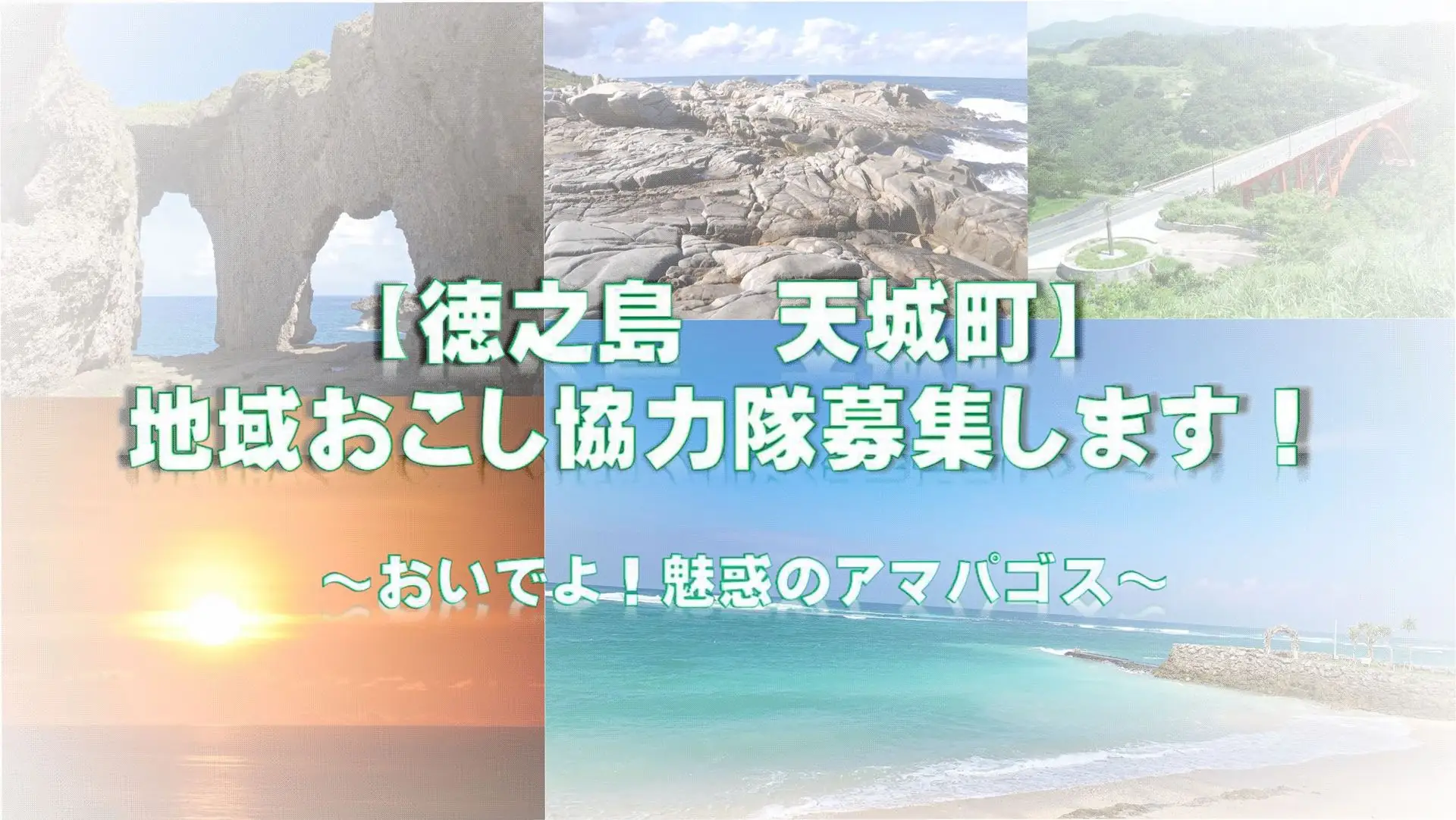 私たちと一緒に天城町の\\WakuWaku//を発信しませんか！【移住コンシェルジュ】と【ふるさと納税推進員】を募集中！
