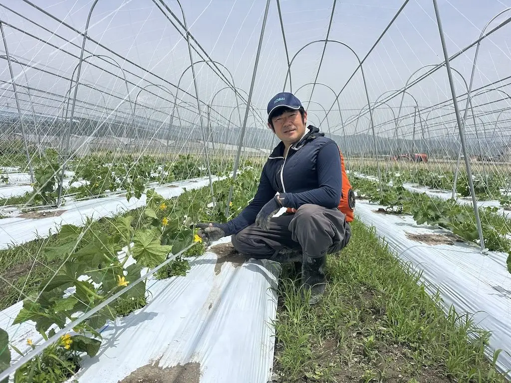 【地域おこし協力隊】有機農業と6次産業化に挑戦しませんか？【高知県 大豊町】