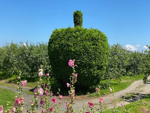 藤崎町経営戦略課